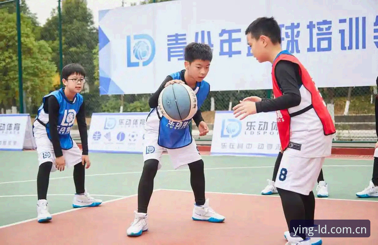 乐动体育平台直接安装详解：ld sport通道的真实体验记录
